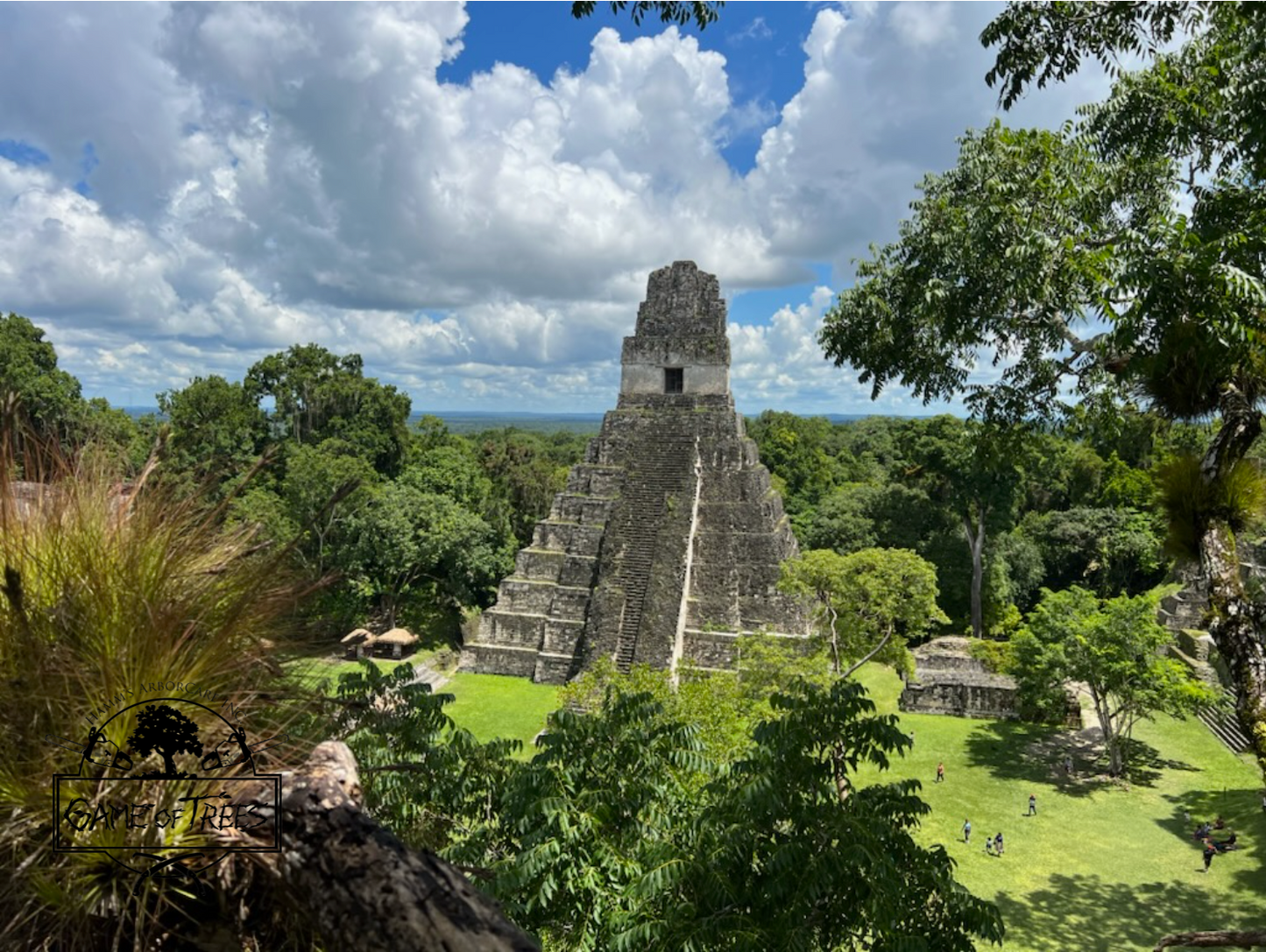 Guatemala Project Puzzle