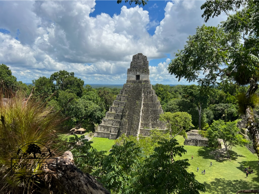 Guatemala Project Puzzle